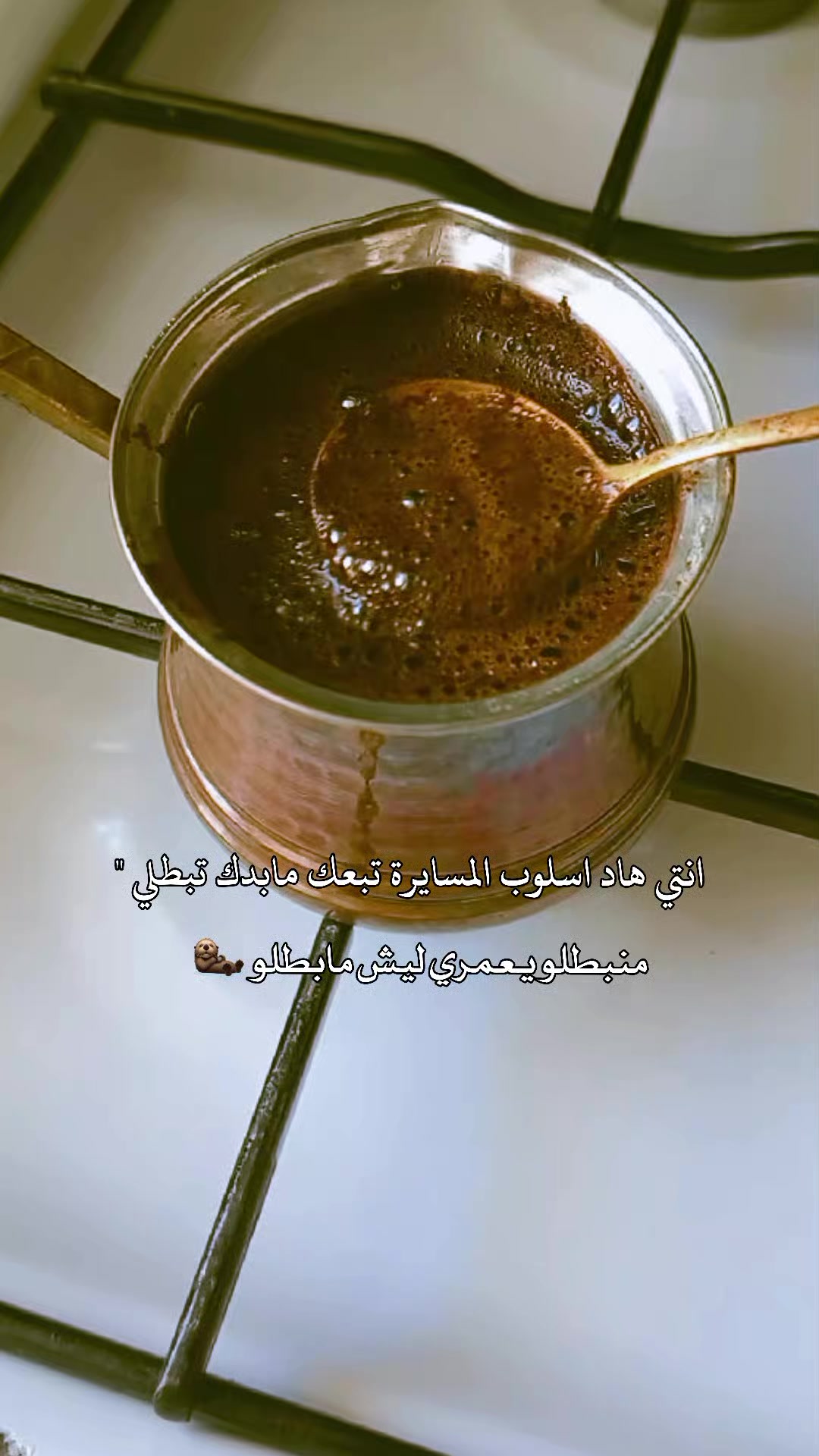 @🦢וٓࡅ࡙ߺܘ߳ _𝒂𝒚𝒂♡