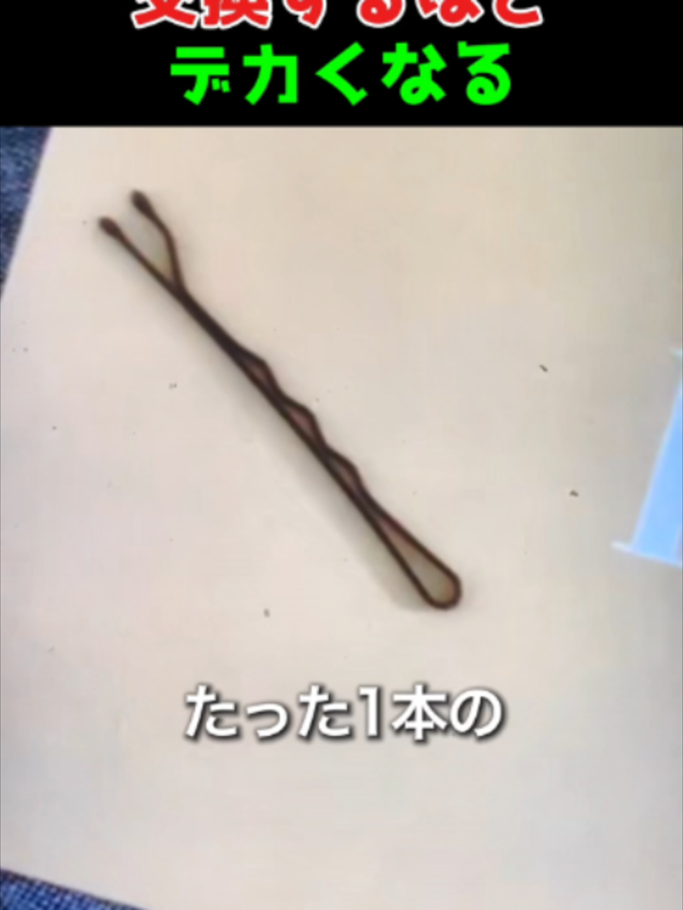 @海外ざんまい