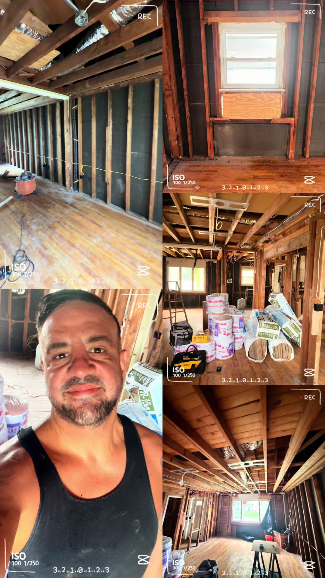 @Carnivores