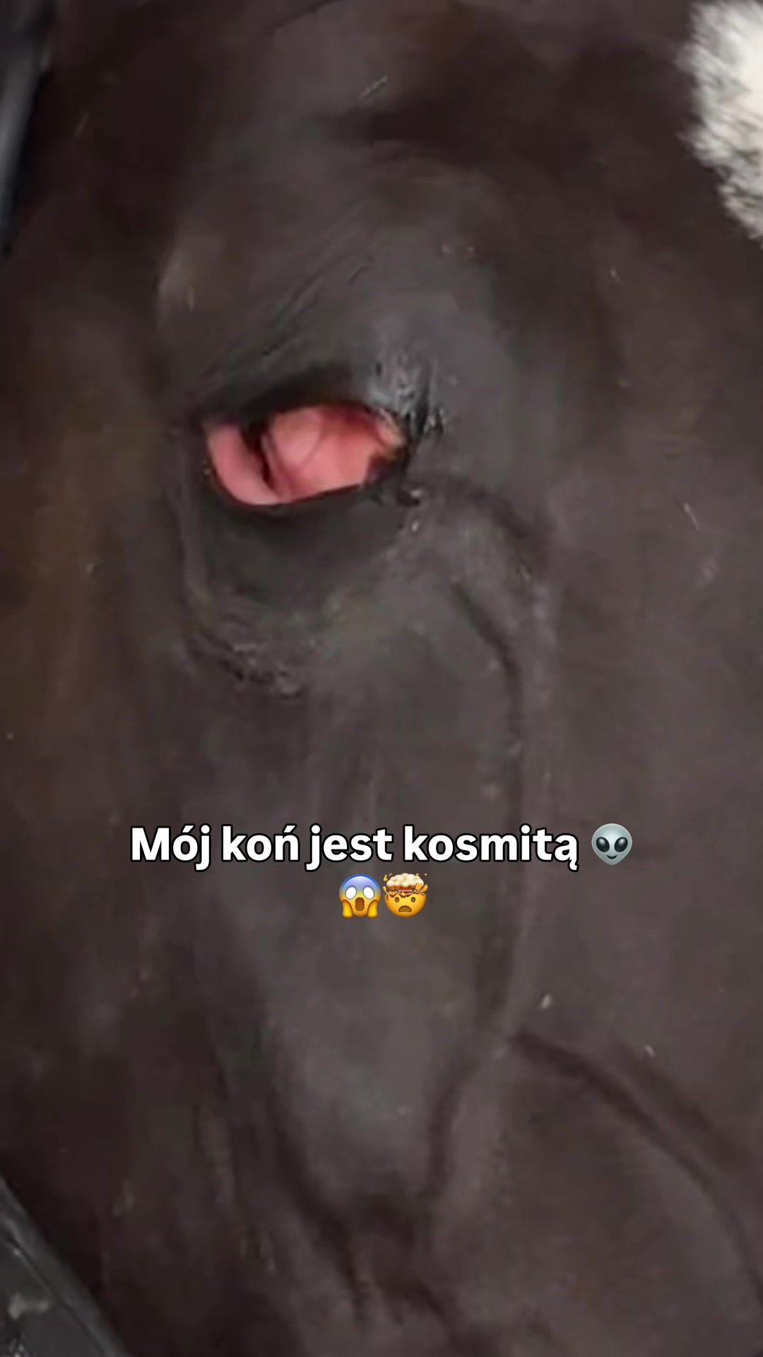 @Marta Kamijami 🎠 💄✈️