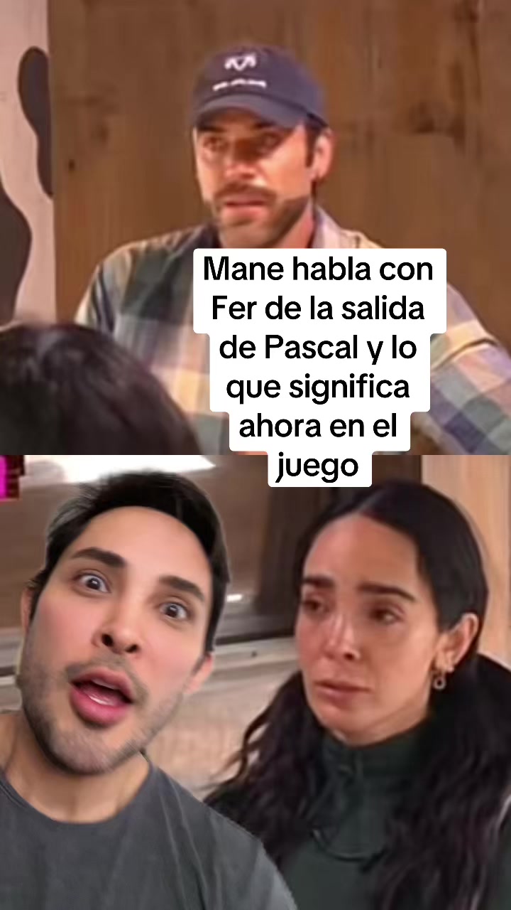 @MAKITO MAKITO🐱