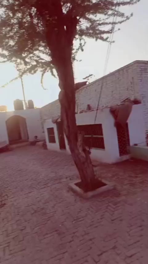 @🚩انصاری✨ بادشاہ👑