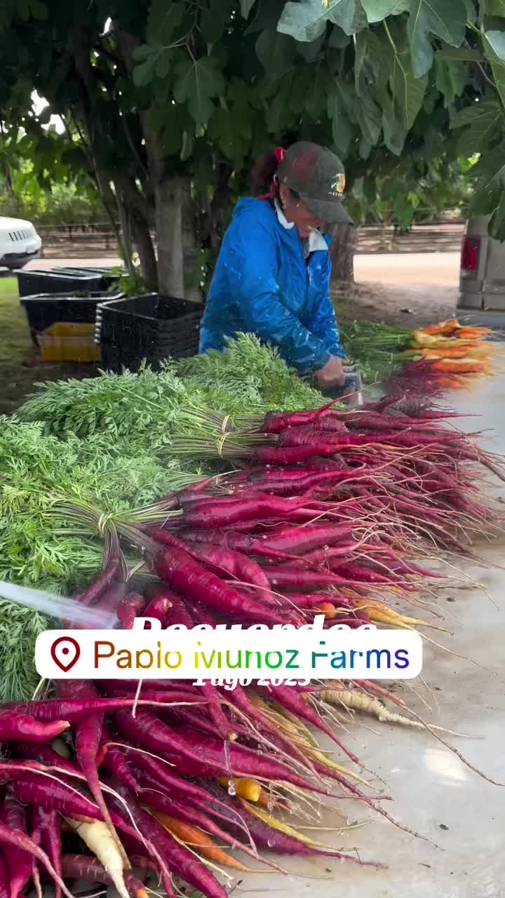 @⚜️🍓🪗pablocarbajal63🪗🍓👑🔱