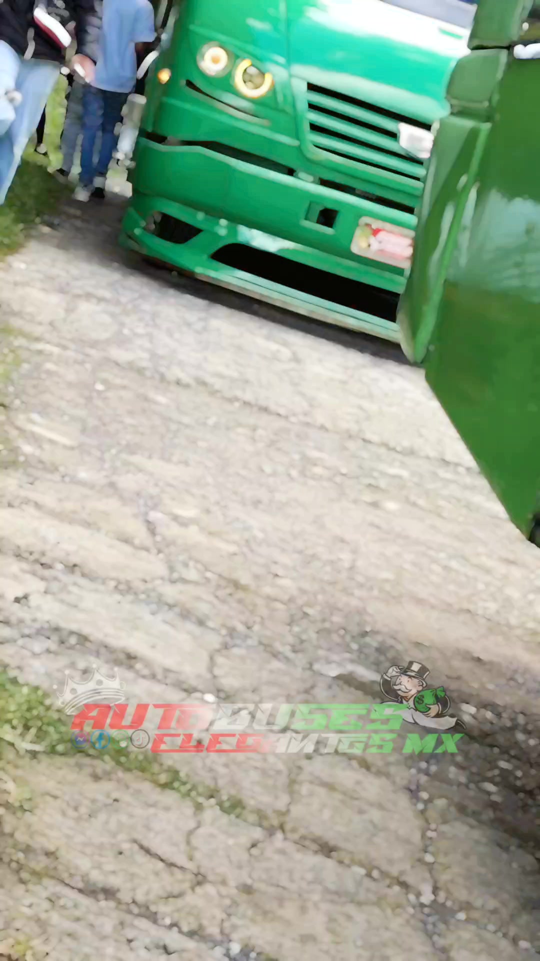 @Autobuses Elegantes Mx