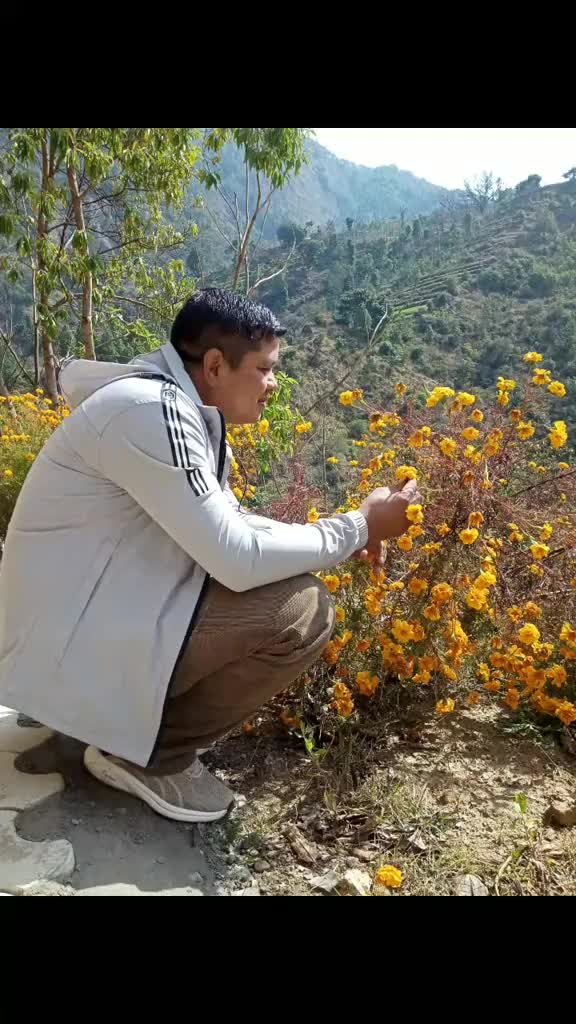 @Suman Chaudhary6035