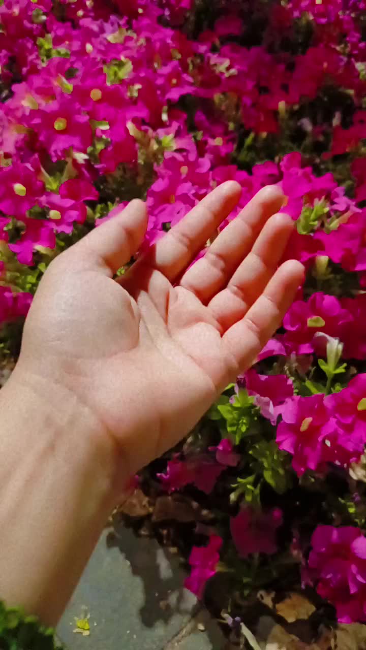 @༺𝕮͚𝖍͚𝖆͚𝖓͚𝖉͚𝖆͚𝖇͚𝖆͚𝖇͚𝖚