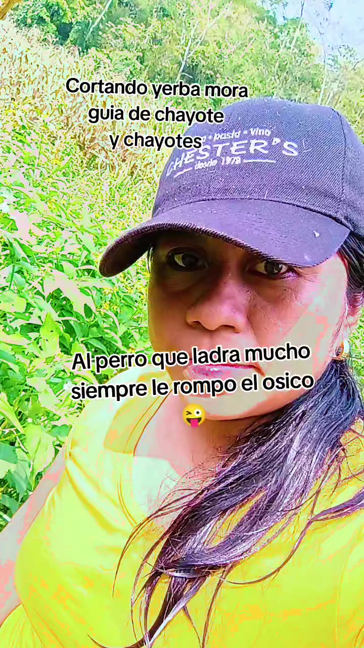 @❤️Anasus ❤️