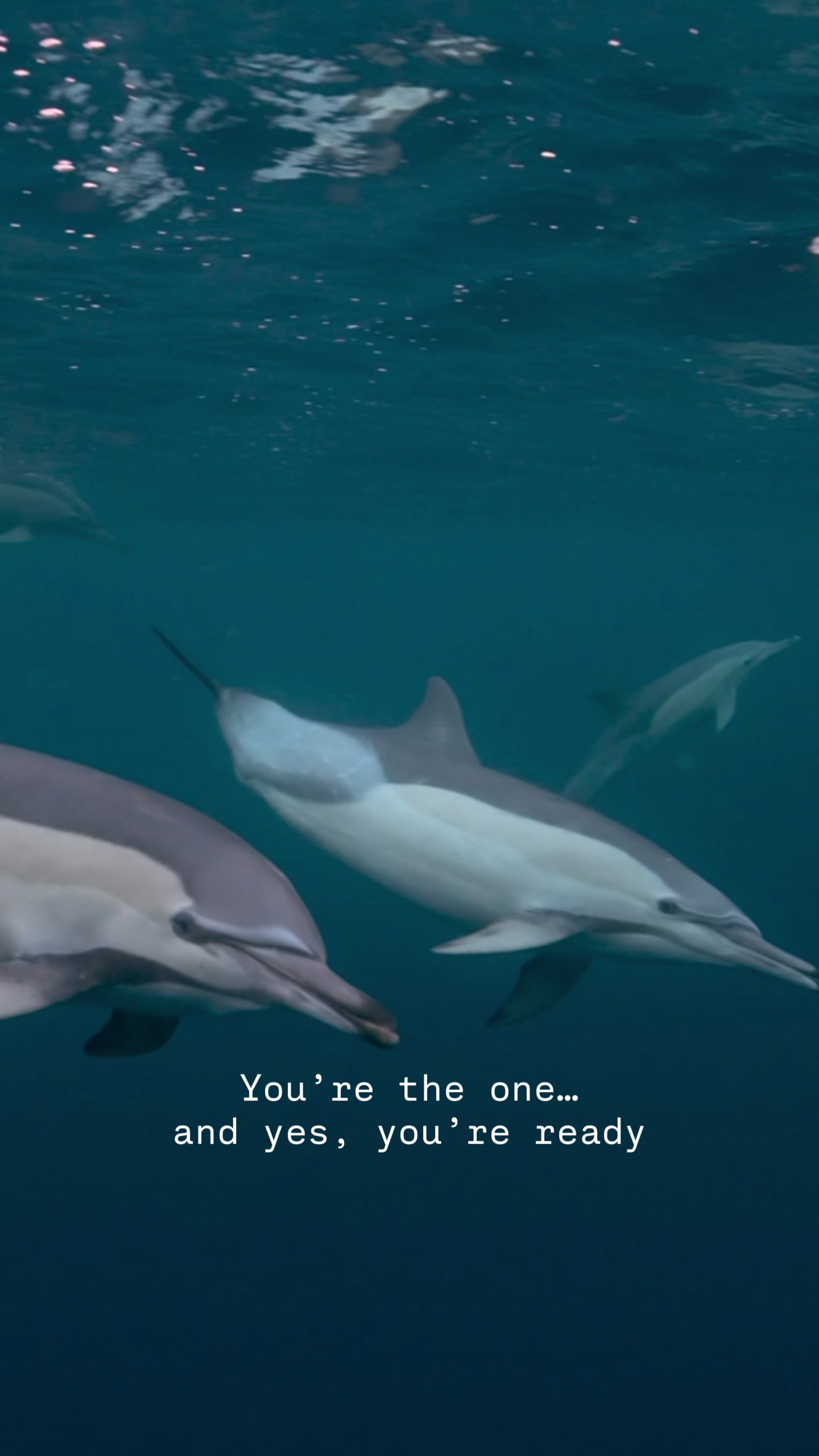 @The Black Mermaid