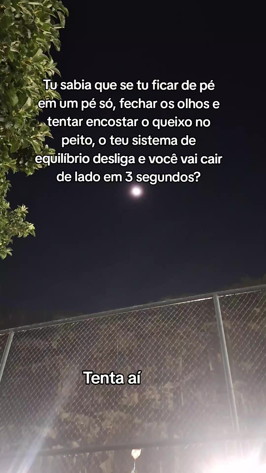 @Paloma Machado865