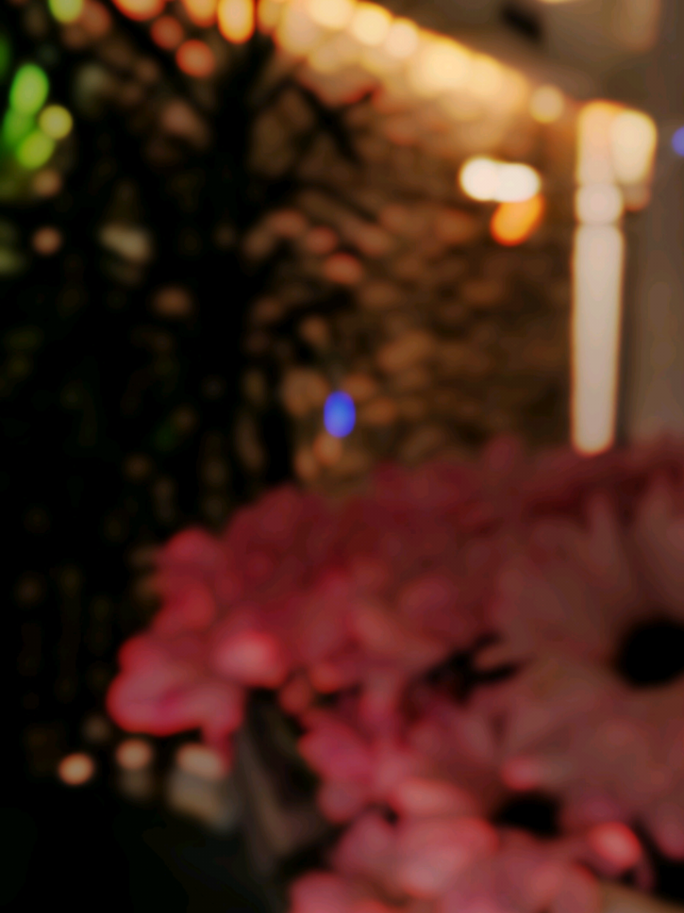 @⋆𓍼ʚMaɳ Ơɞ "🦋