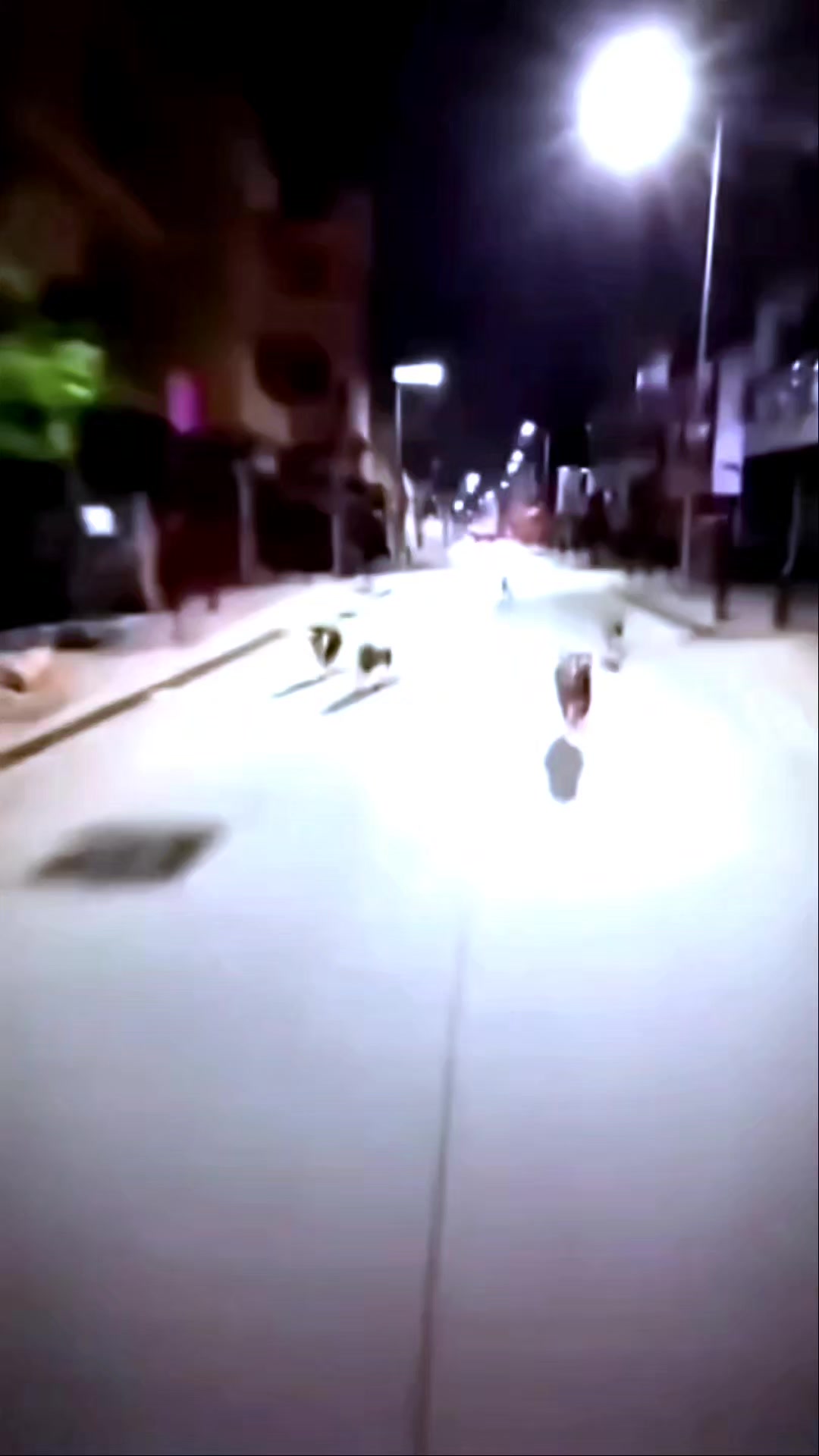 @.•♫•black dog•♫