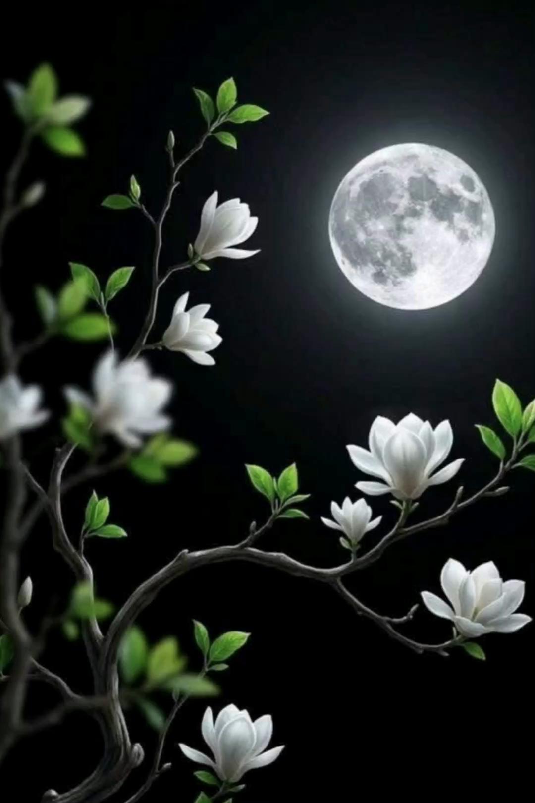 @๐ุงููุฑุงู _ูุงูุณูู ๐