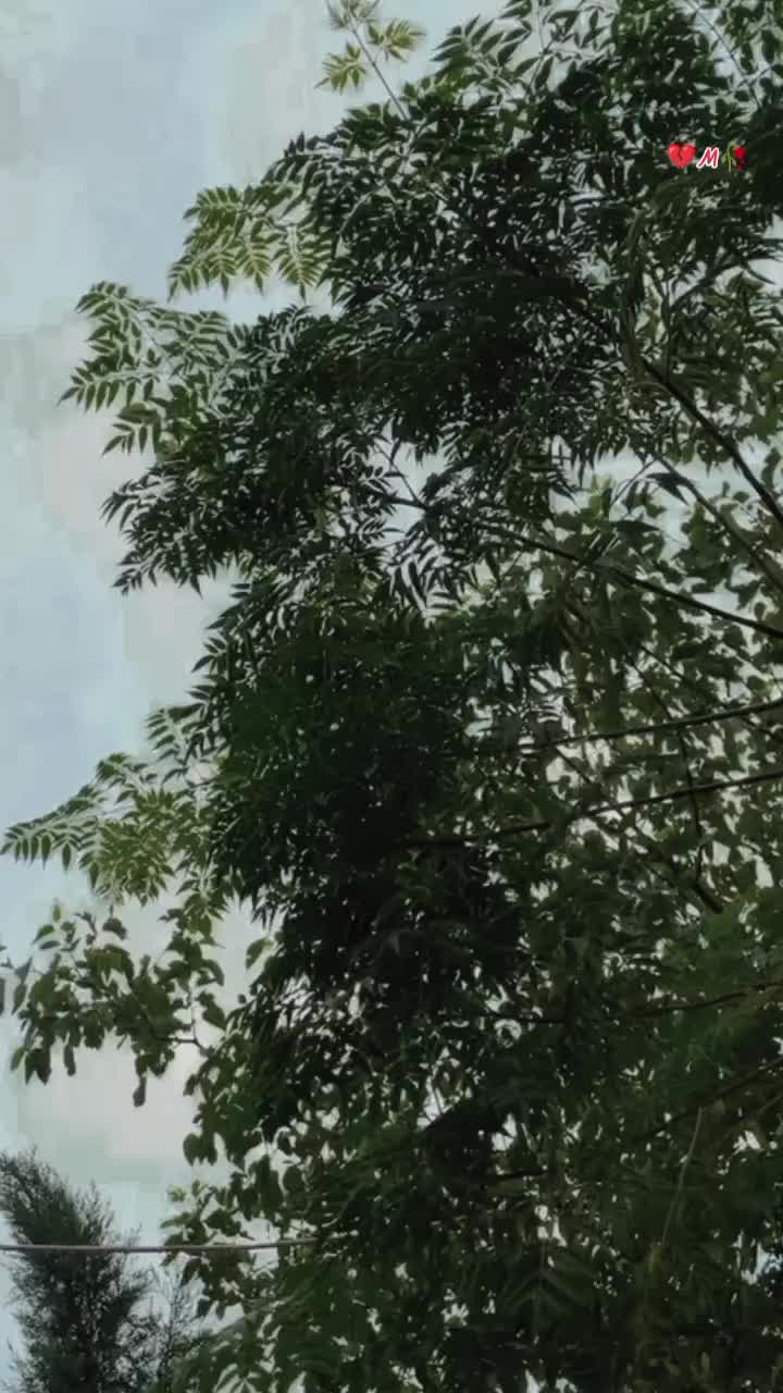 @🚬»ستا_ليونی«