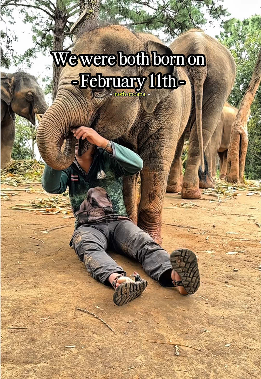@Elephant way