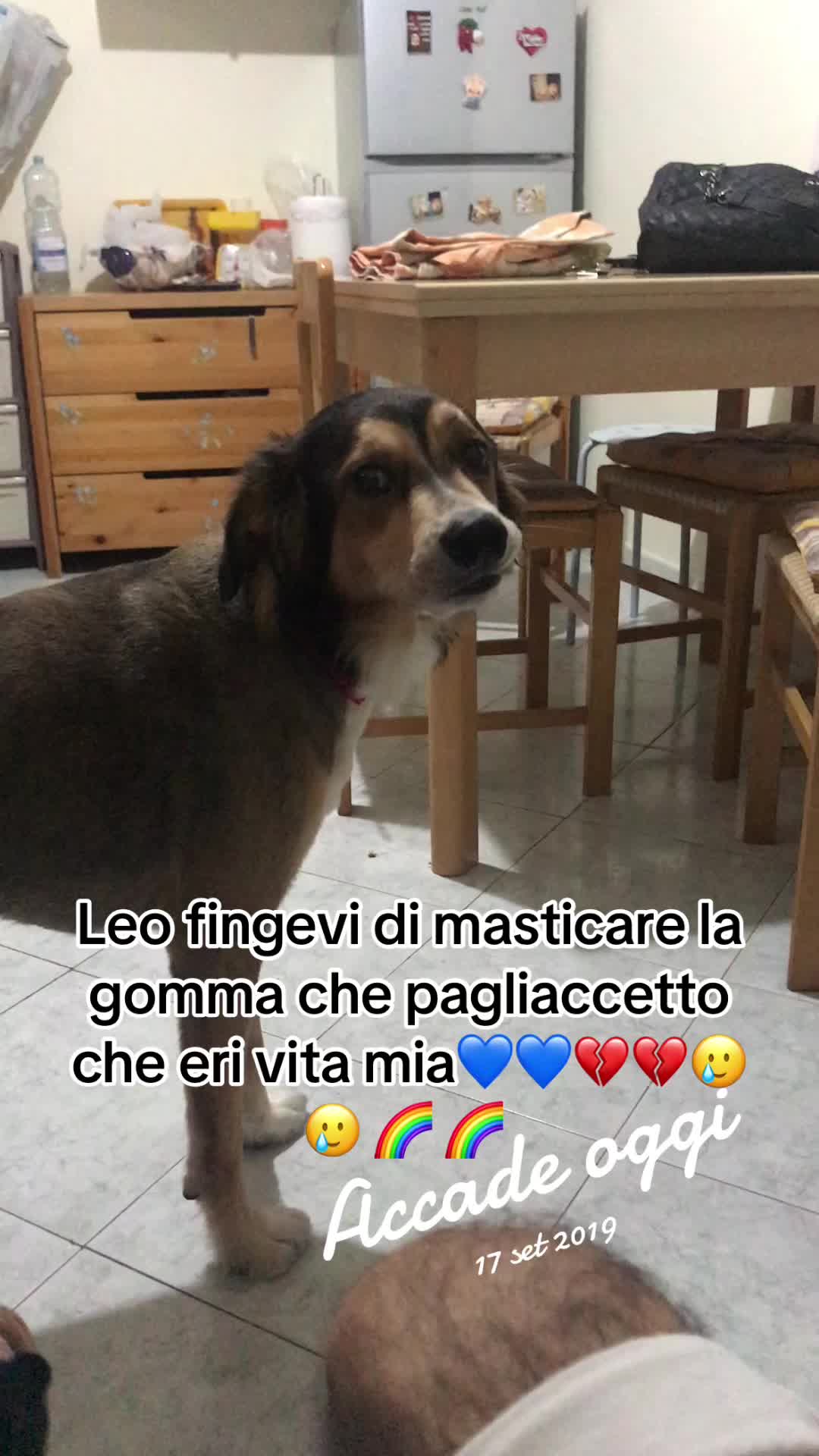 @Carmela Capone