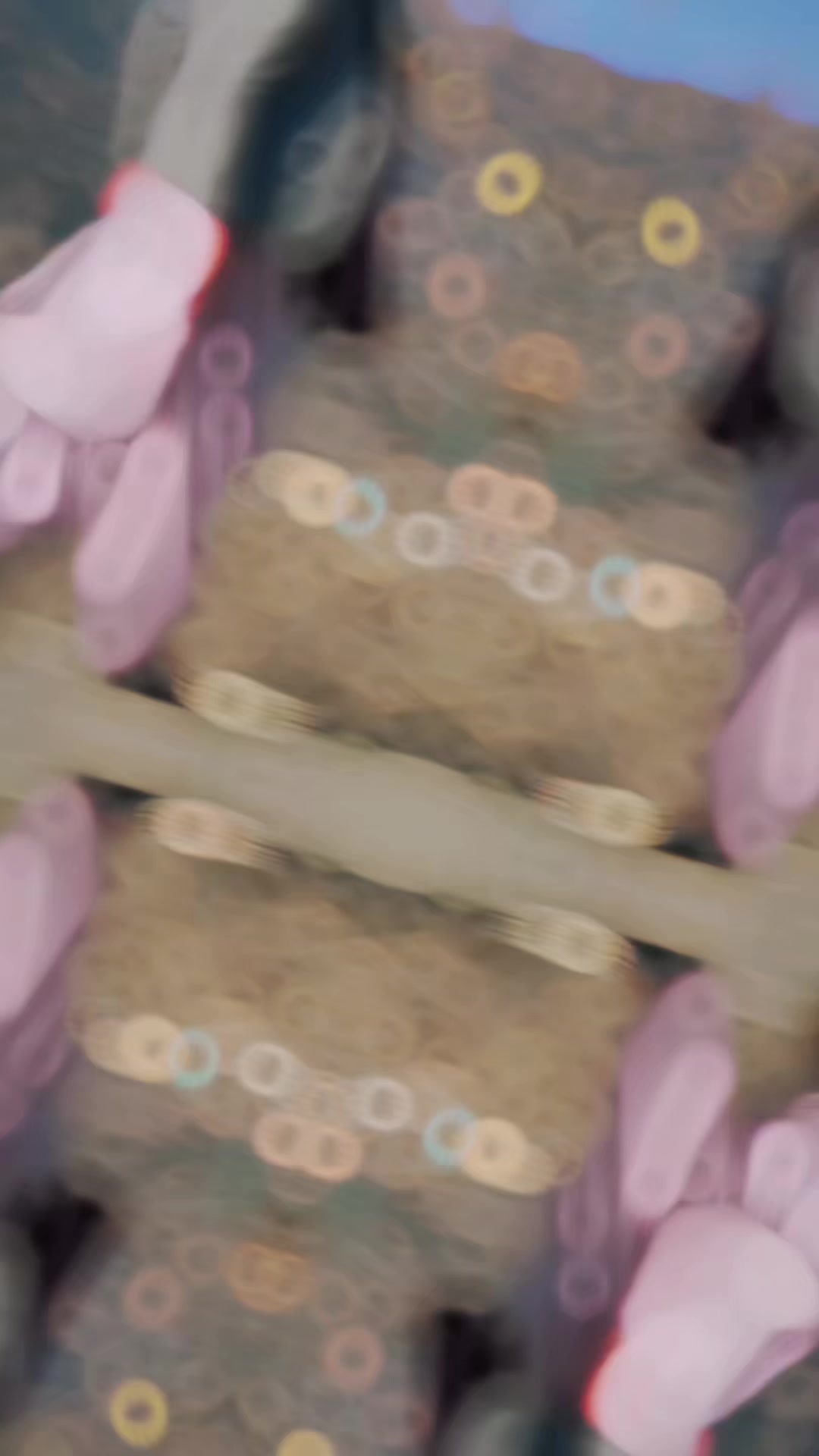 @👑DIRDONAI🦋