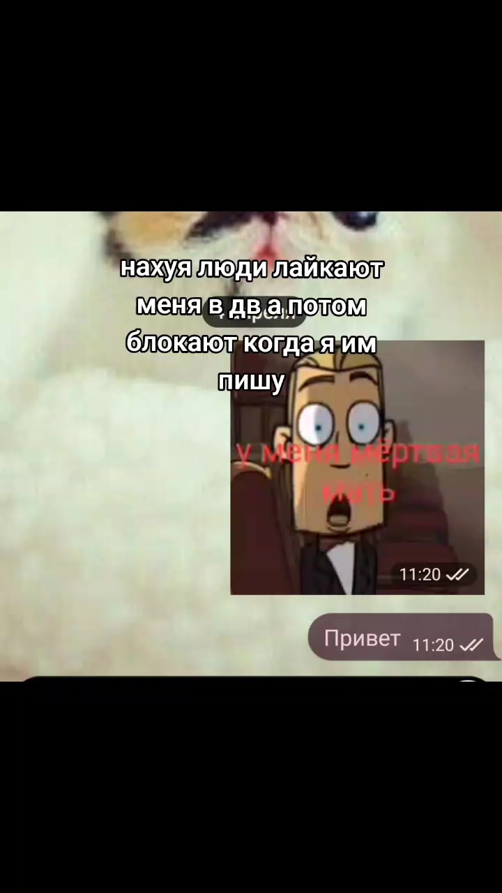 @блонди, лучший человек в мире