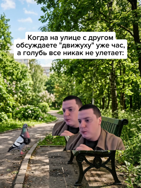 @Жирный заяц