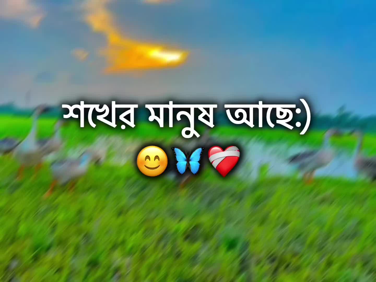 @🌚🐸>জাতির_বউ'মা<🐸🌚