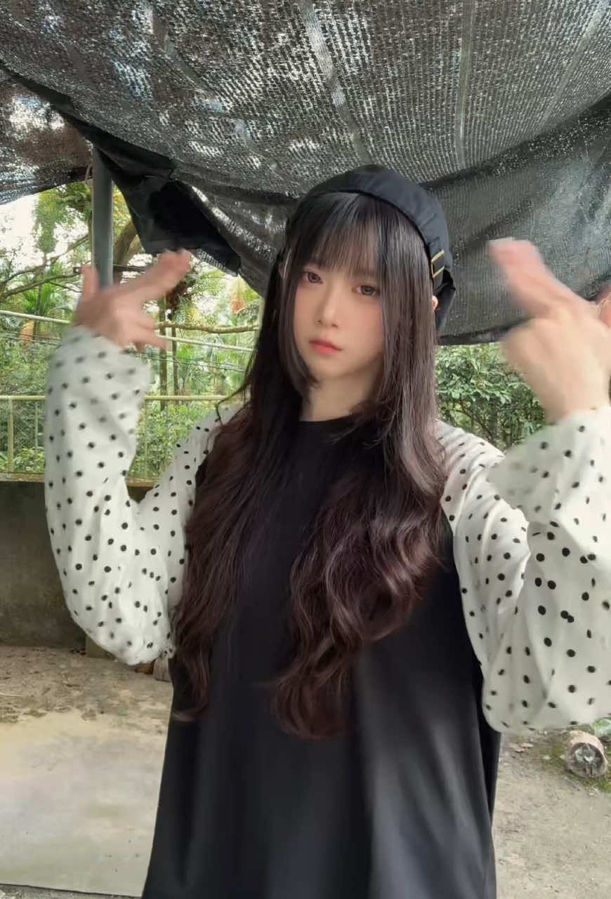@嗷嗷嗷嗷𖠌 🐺