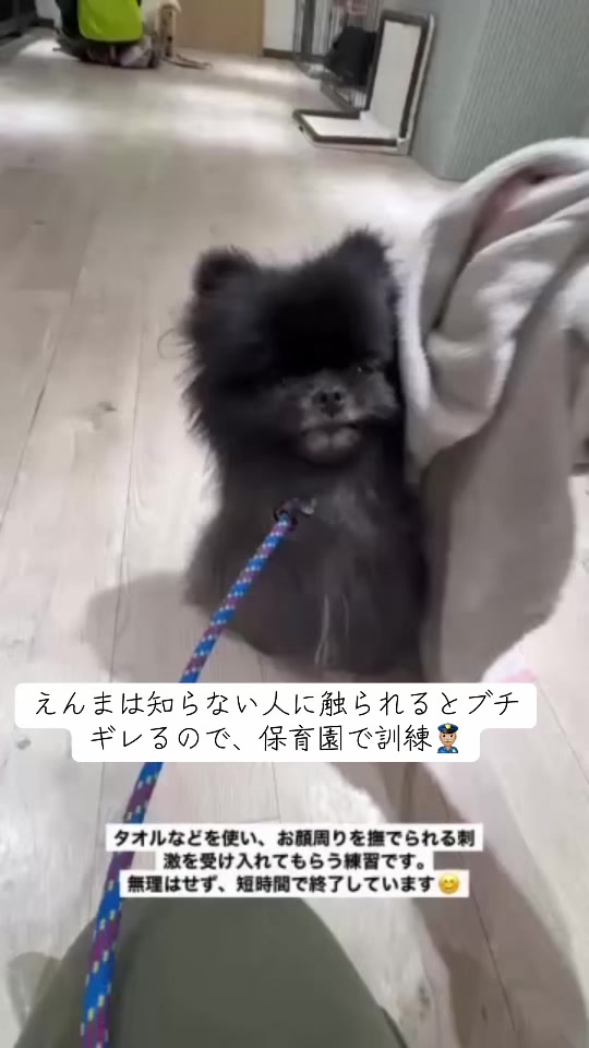 @黒ポメのえんま🐻🍿