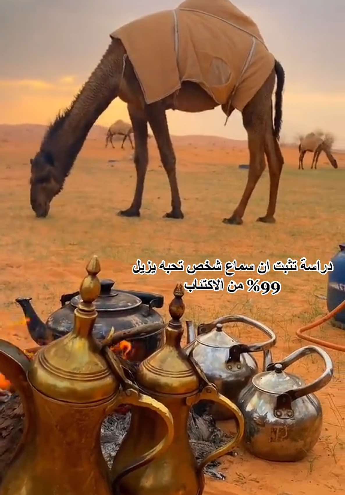 @أبــو أريـــس