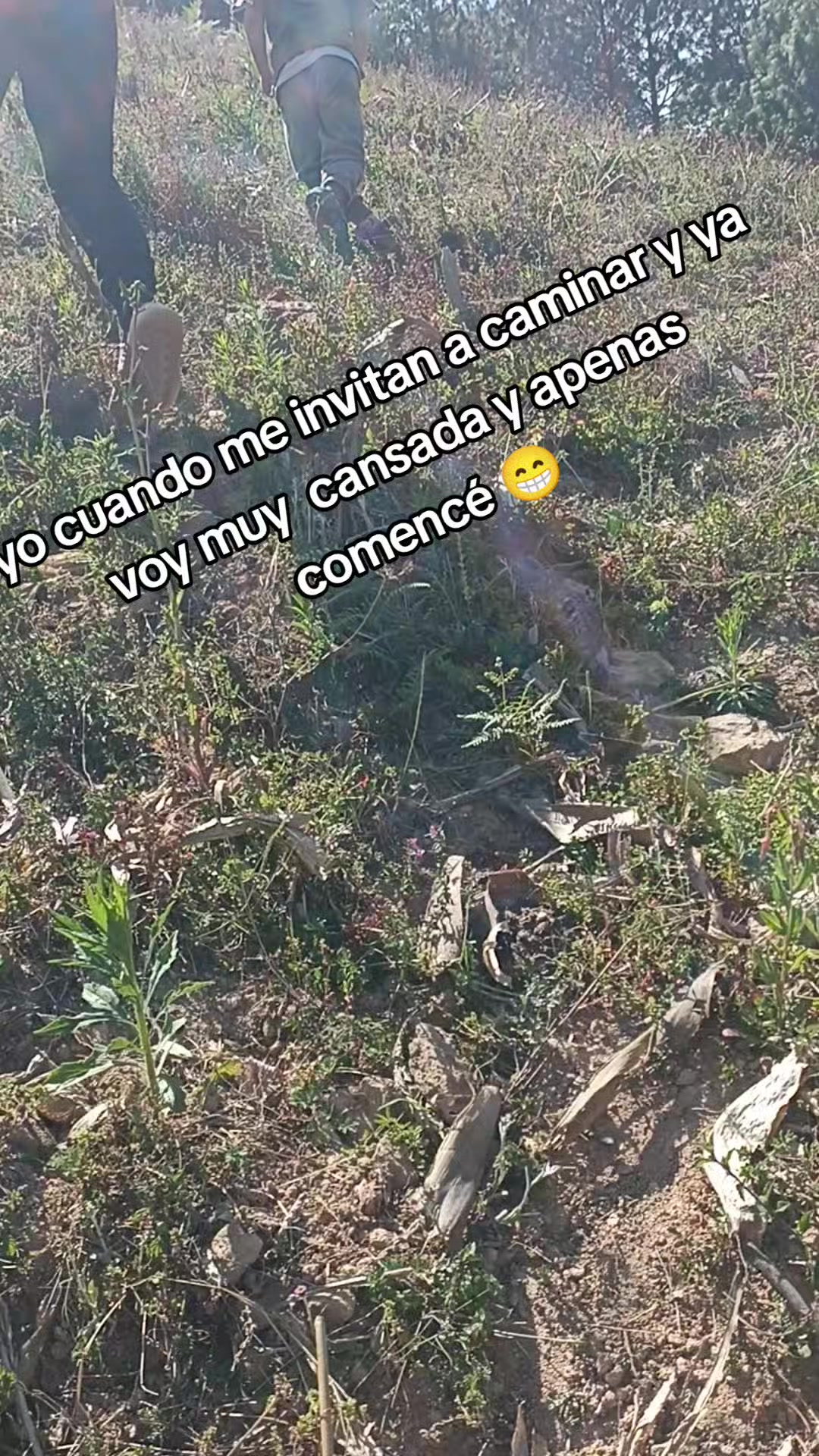 @❤️ Estrella ❤️