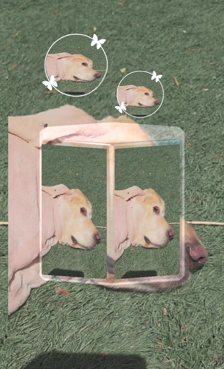 @๋์ฐ๐ถ๐