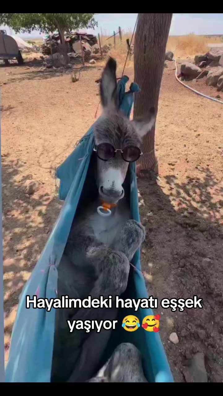 @Kader