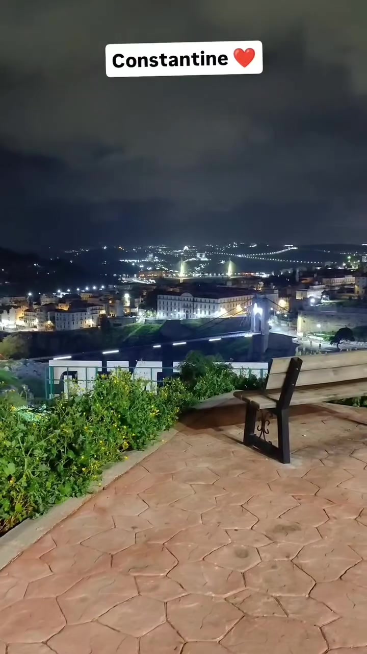 @القائد الشبح الجزائري 🇩🇿🥷🫡