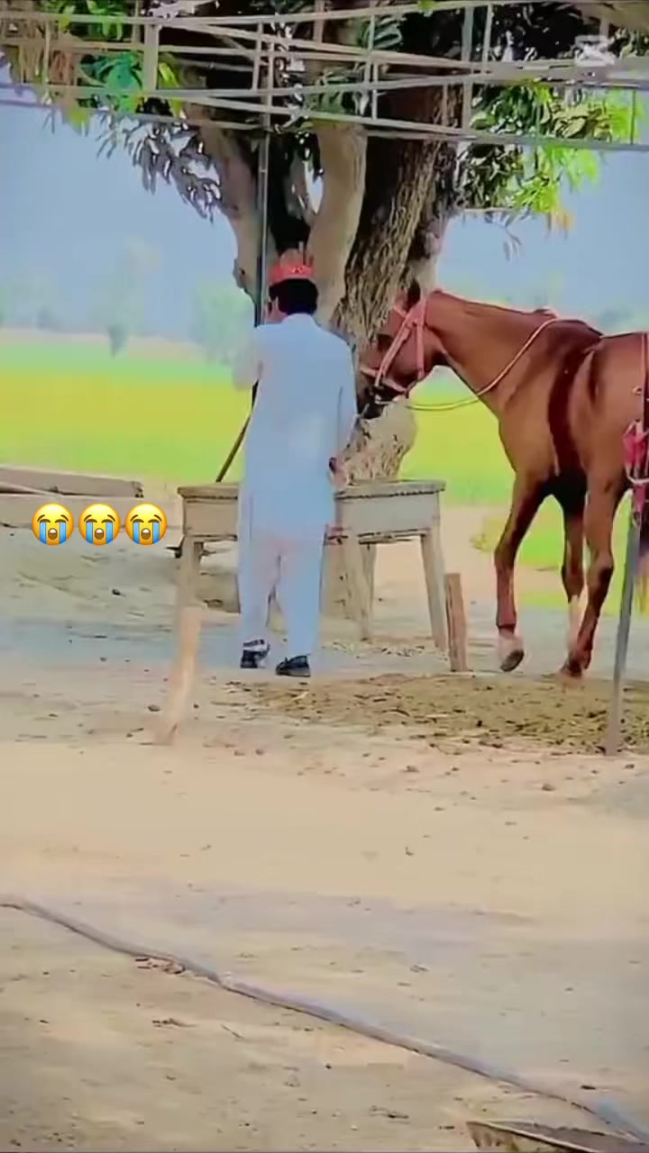 @🖤SaadArafat🖤