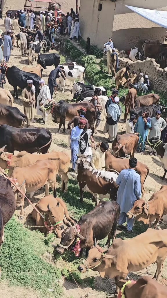 @NAIMAT ORAKZAI