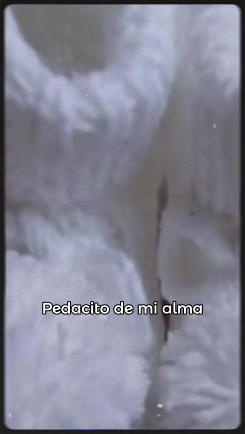 @vickely