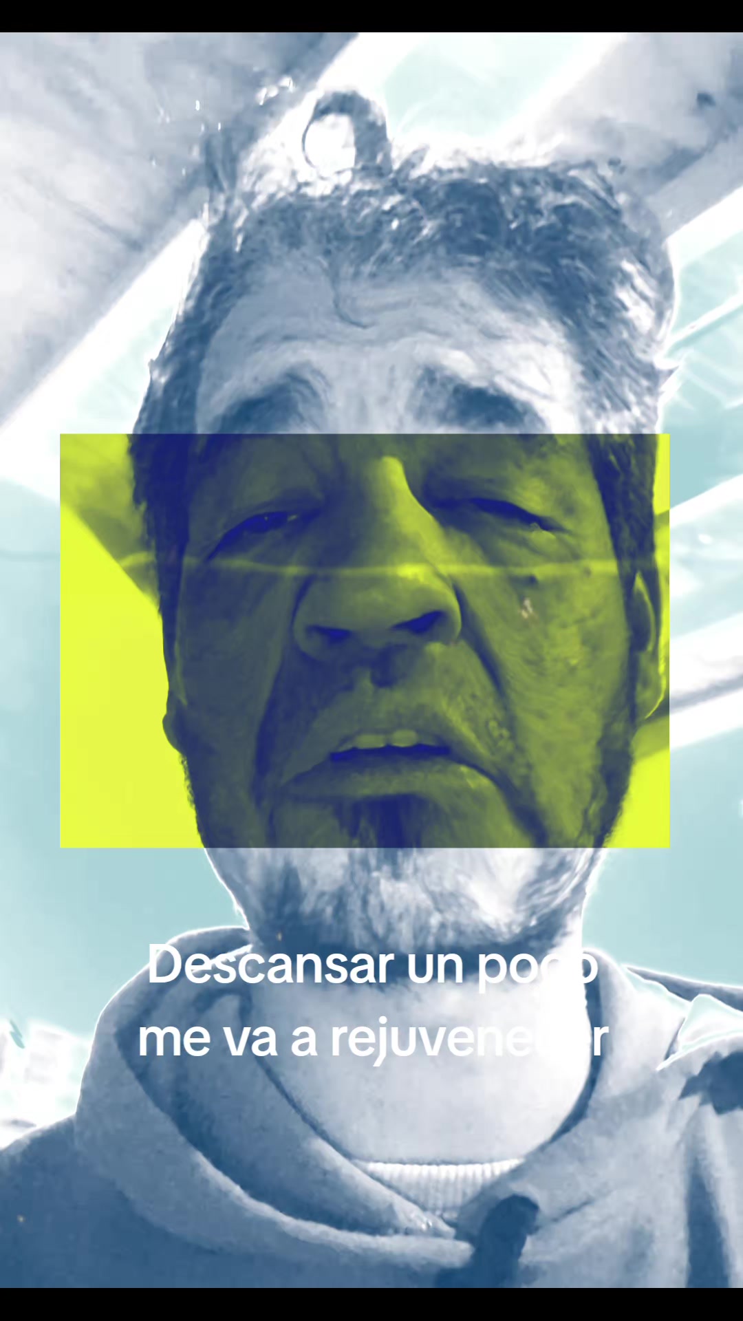 @Diego y sus michis