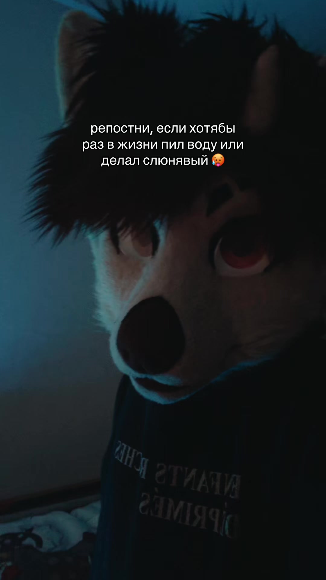 @фыркалко 🐾