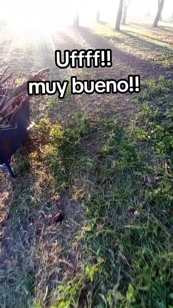 @Ale Diaz