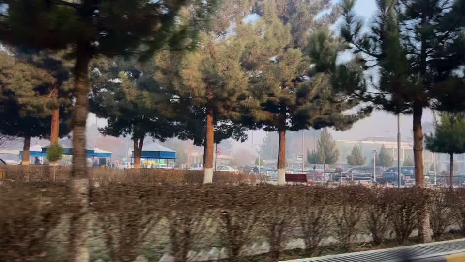 @Queen of Afghanistan 🇦🇫🚘🎨
