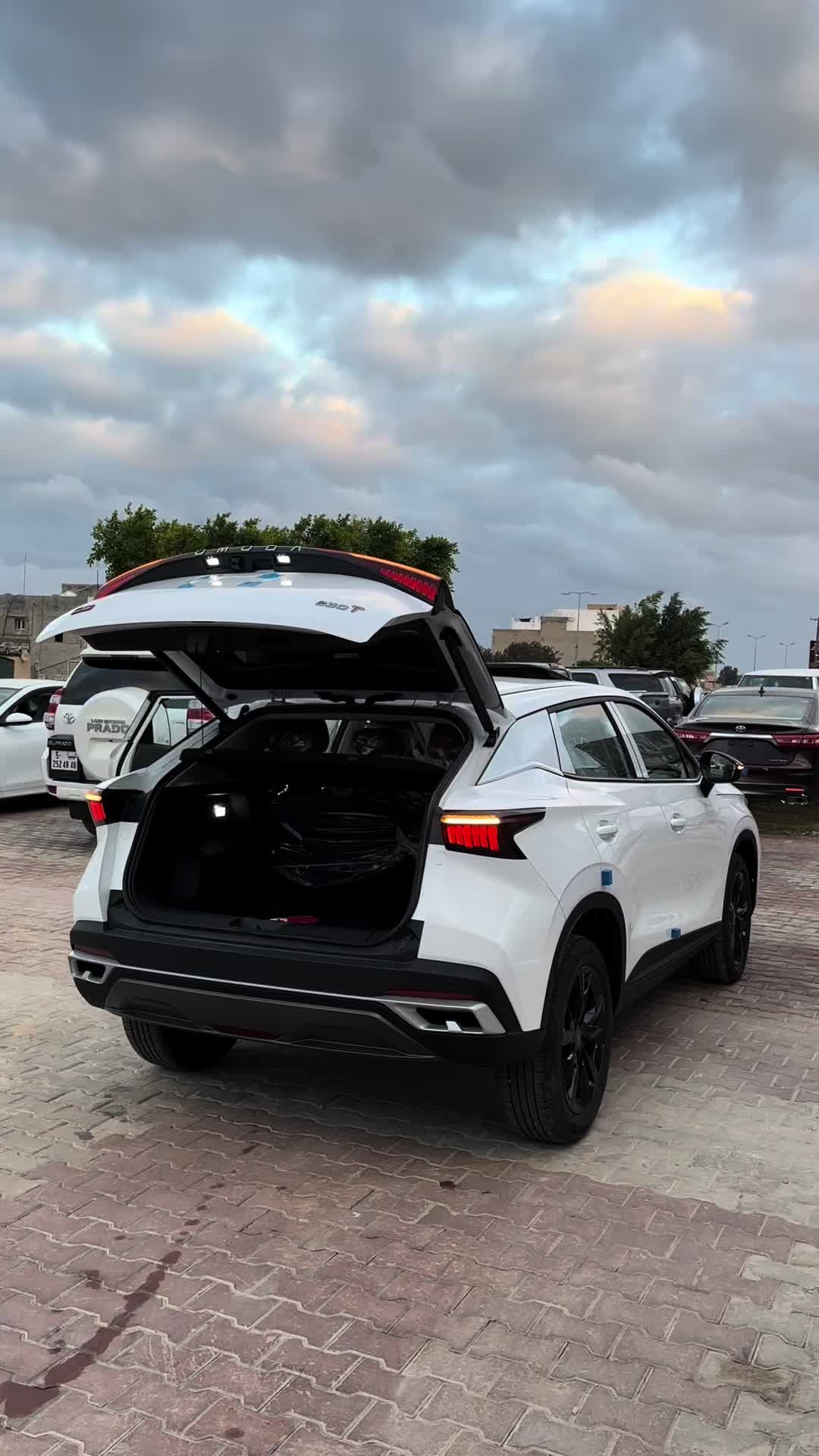 @يوسف زايد