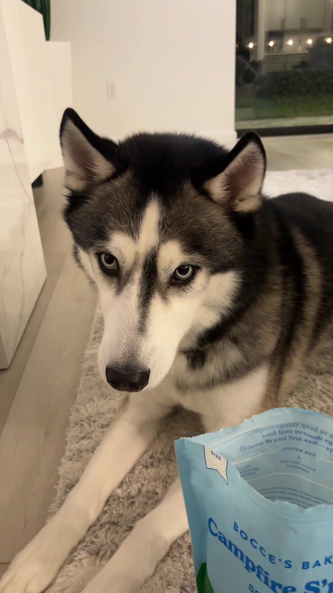 @lifewith2huskies
