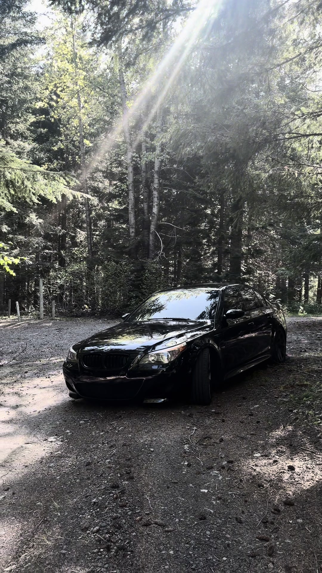 @Multov.77