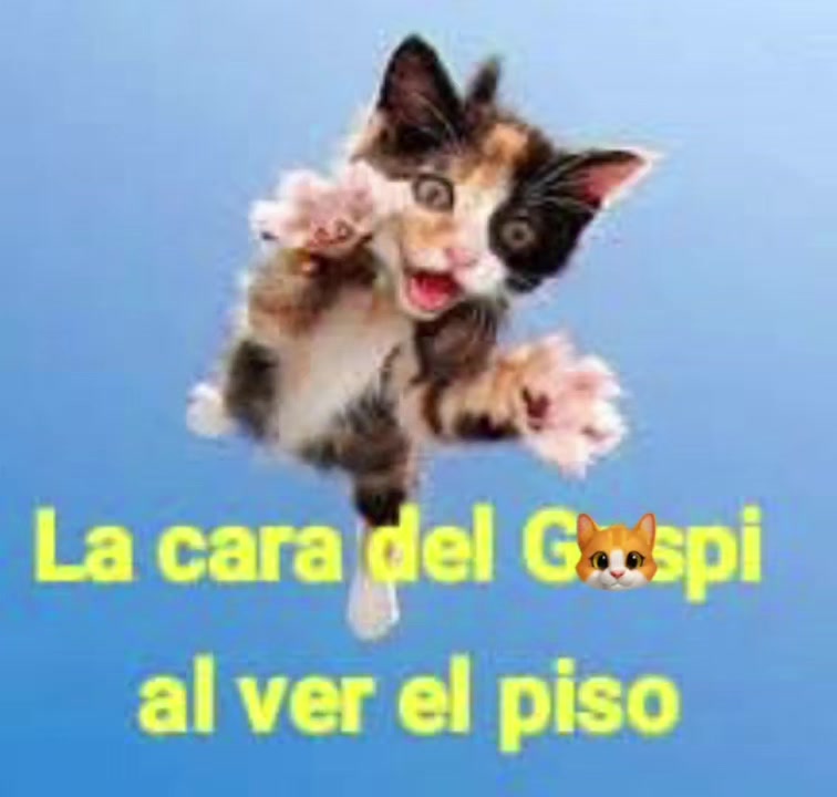 @chelsea
