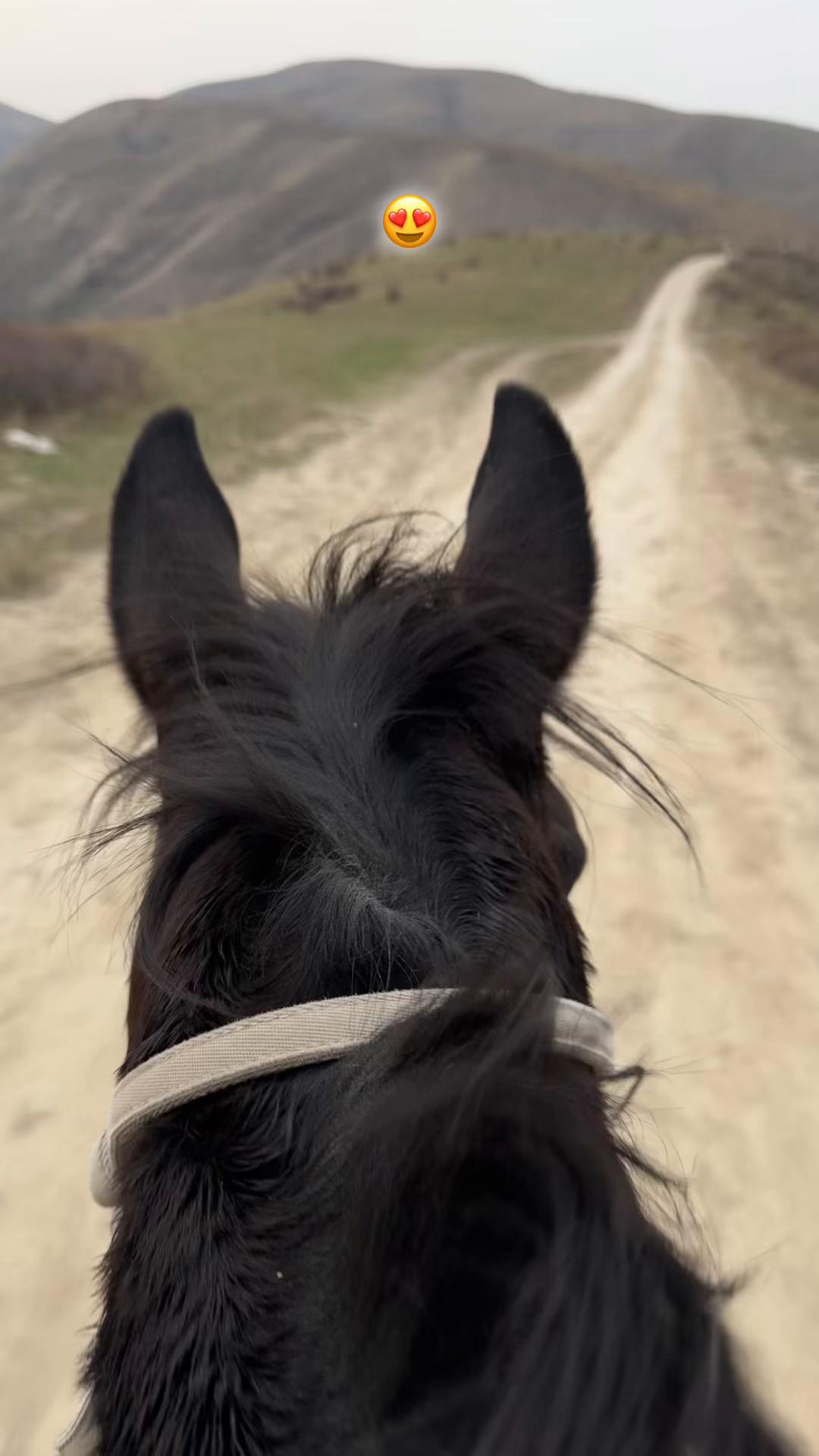 @𝐁𝐄𝐊𝐎𝐒𝐇