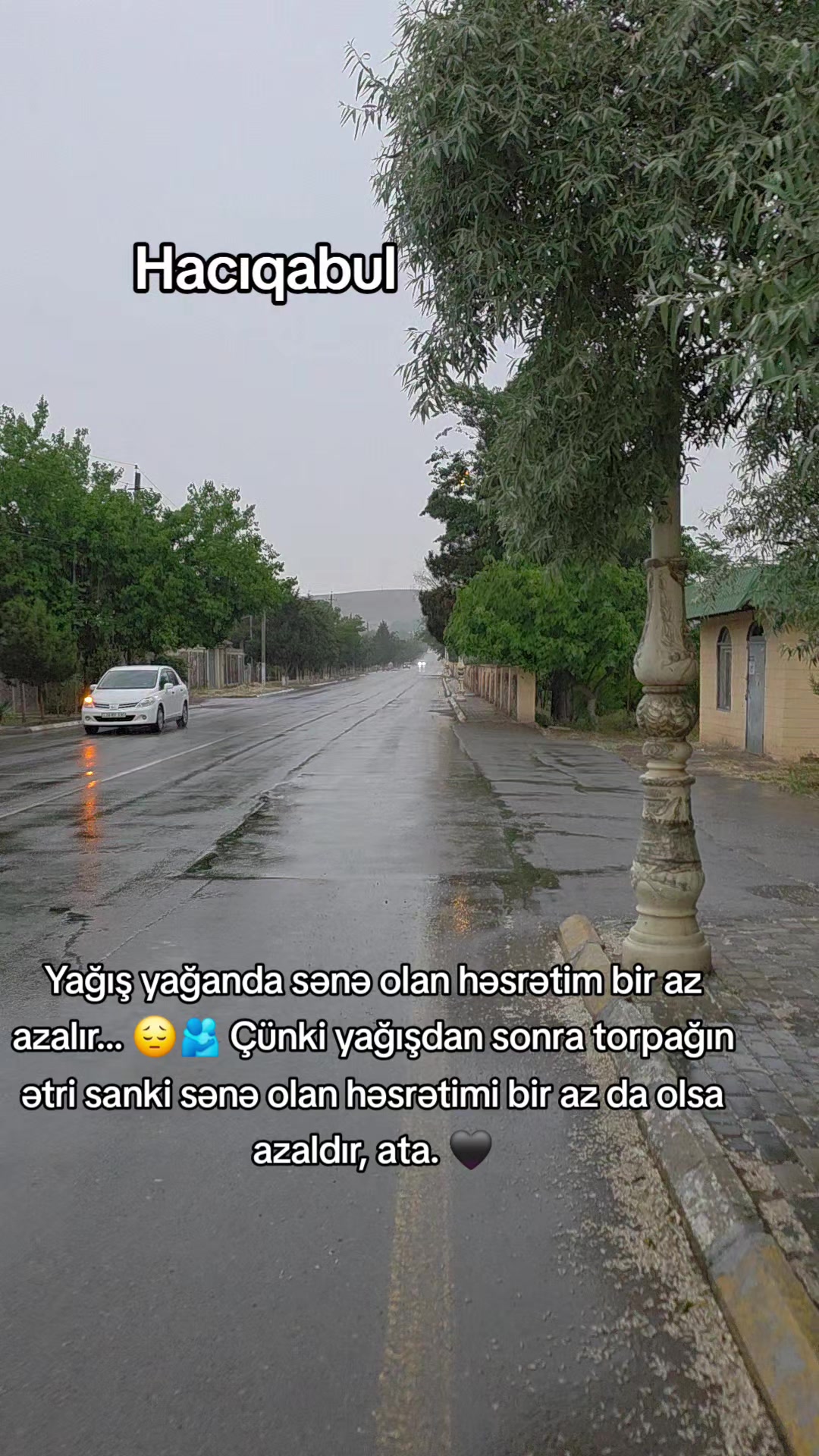 @isayeva_f