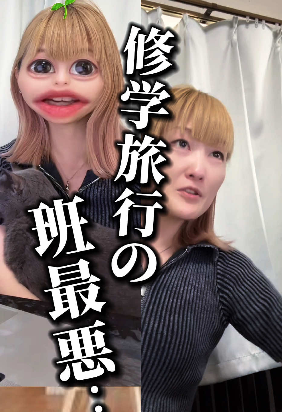 @ã²ãããðå±±ç°ããã¡ã¯ç«ãŸã¿ã