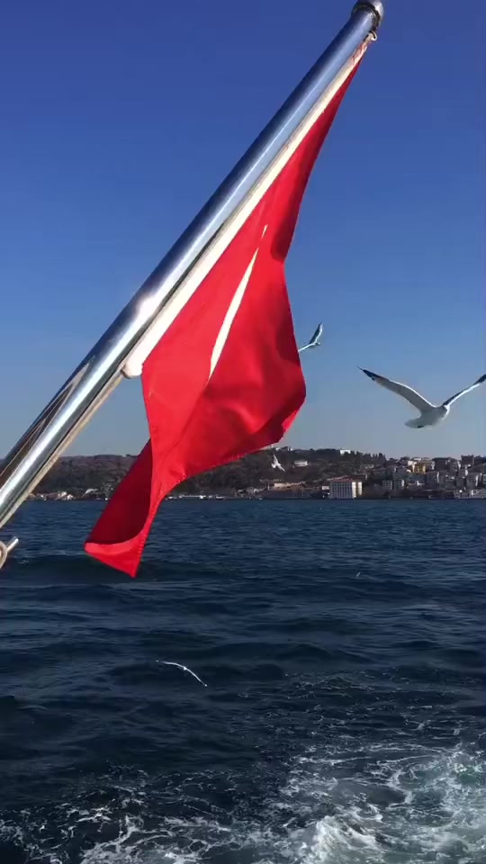 @☀️☀️☀️