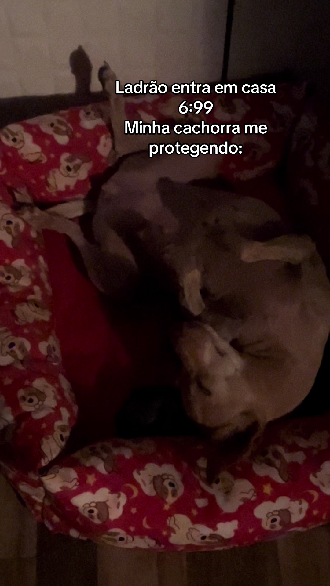 @Jackebiancatto🍀🌹