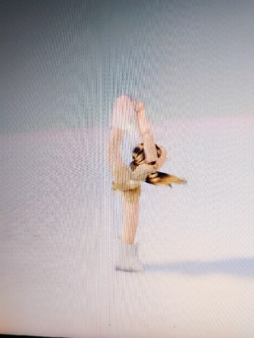 @fslegendsplayer