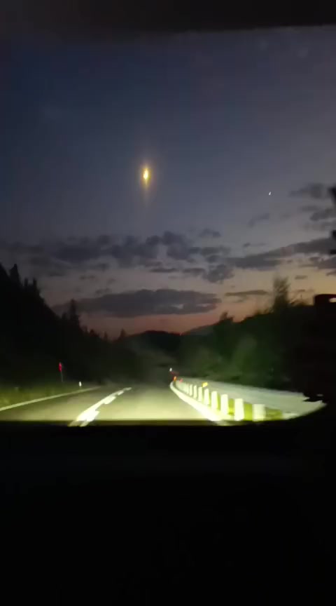@erdaloguz331