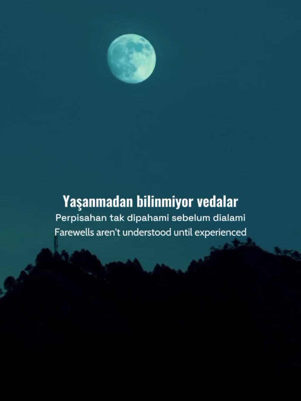 @Rayyan Demiral
