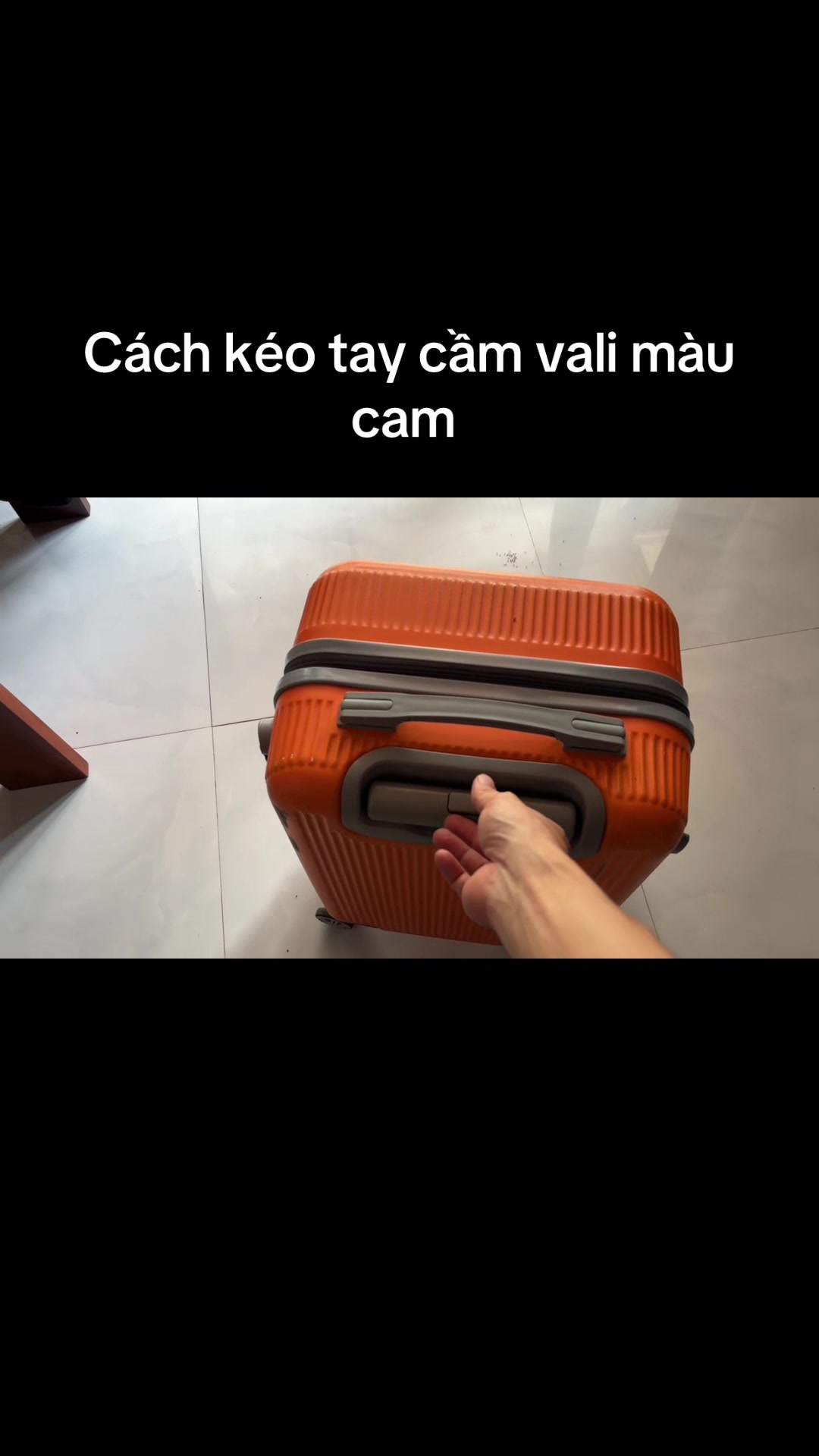 @Mèo thông thái